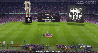 全市场报道哈列巴什维利：模板罗伯逊，皇萨与利物浦在关注他（全市场：哈列巴什维利被比作罗伯逊，皇马、巴萨与利物浦正关注他）