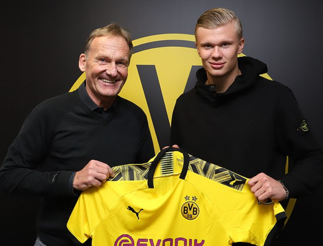 布冯：挪威是顶级强队，他们会在世界杯上大有作为（布冯盛赞挪威：顶尖劲旅，世界杯将大放异彩）